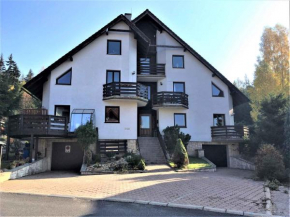 Apartment Harrachov 10